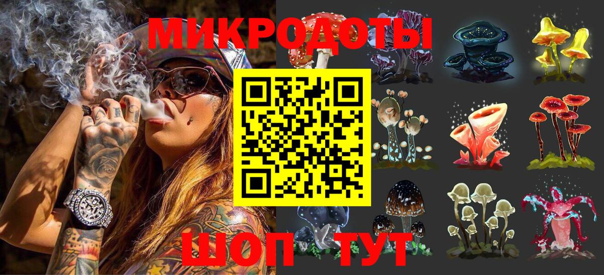 закладки  Ачхой-Мартан  Псилоцибиновые грибы прущие грибы  Галлюциногенные грибы Cubensis 